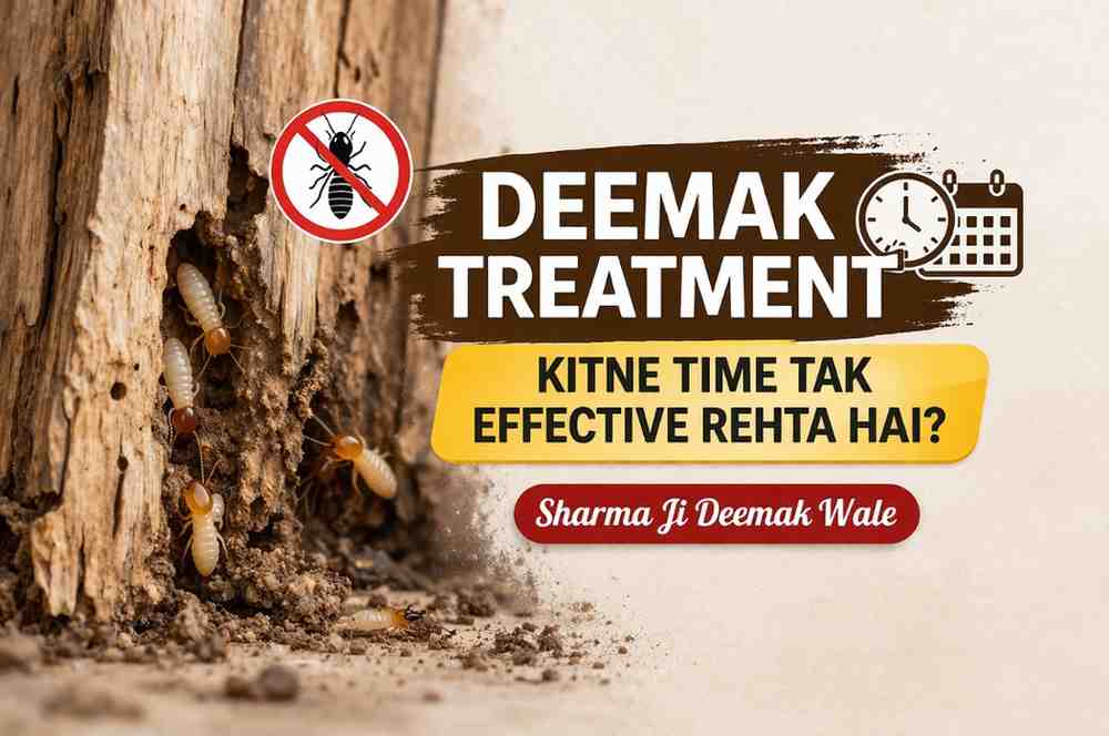 🐜 Deemak Treatment Kitne Time Tak Effective Rehta Hai? – Complete Guide by Sharma Ji Deemak Wale